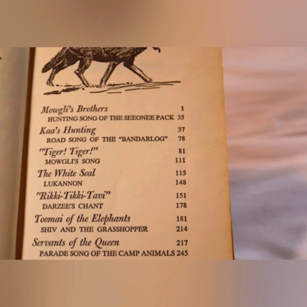 Vintage 1963 2-in-1 The Wizard of Oz & The Jungle Book Kids Companion Li… - Picture 7 of 12